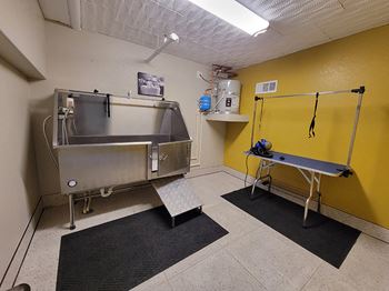 24/7 Pet washing facility